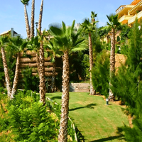 &copy; Landscape Group ★★★★★ (18)