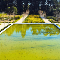 &copy; Landscape Group ★★★★★ (51)