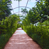 &copy; Landscape Group ★★★★★ (53)