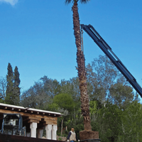 &copy; Landscape Group ★★★★★ (61)