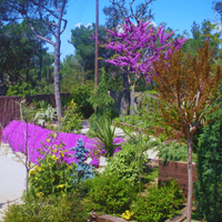 &copy; Landscape Group ★★★★★ 10015